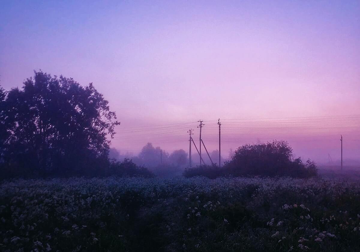 99图库｜异常说明：最近118图库00期｜常见误区资料站（按指标），118彩图九九厍图乘乘库图跑狗图